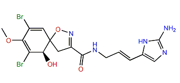 Aplysinamisine I